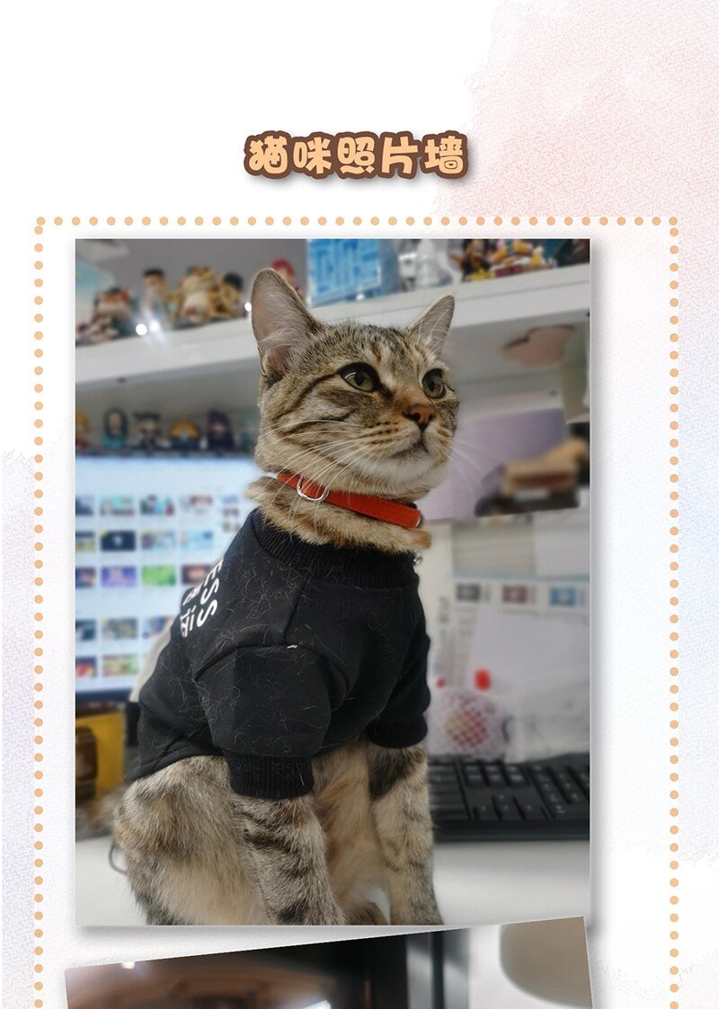 15 禁忌的办公室恋爱……20