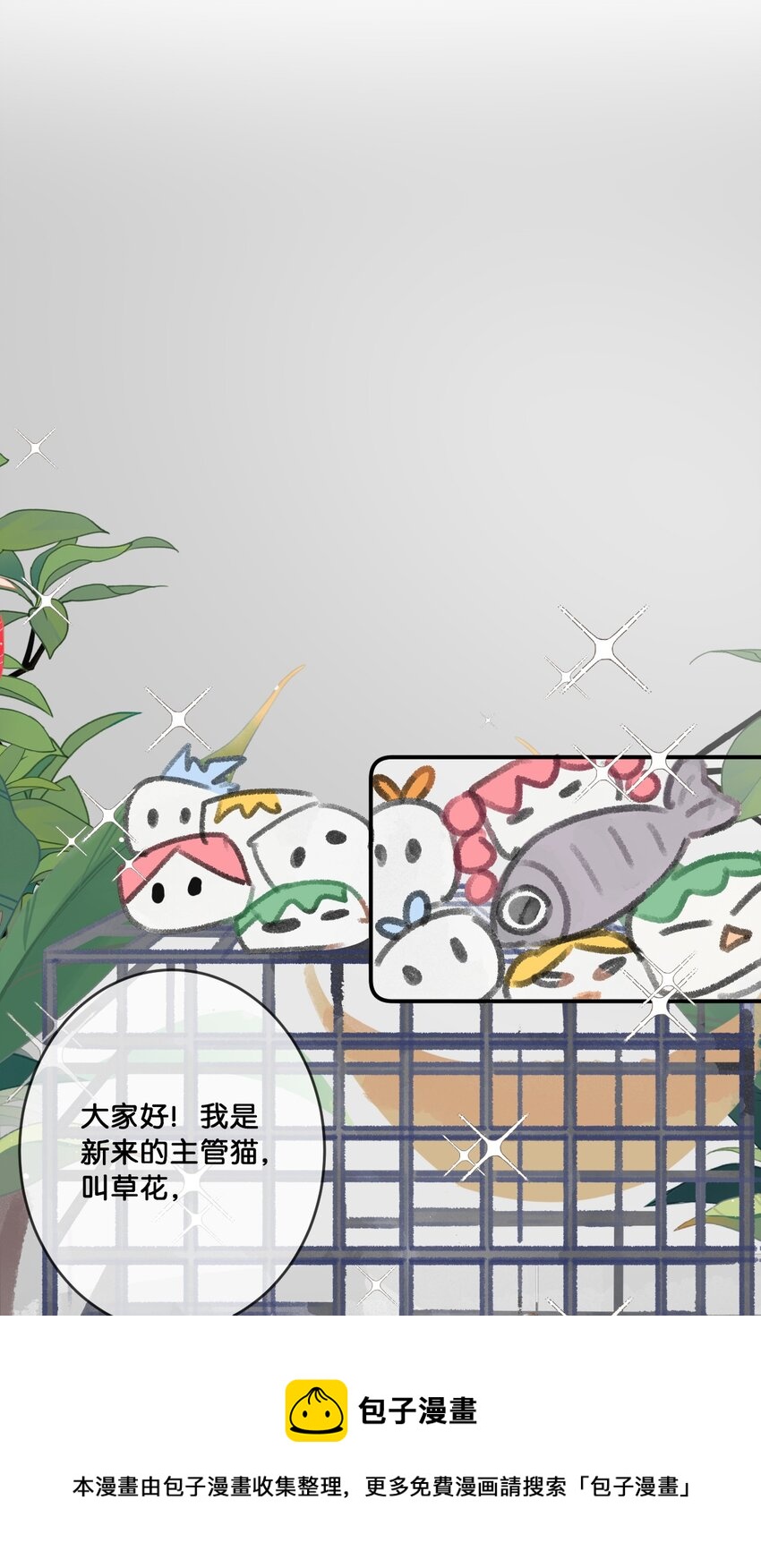 28 职场导师锅包又带出来的职场新猫！16