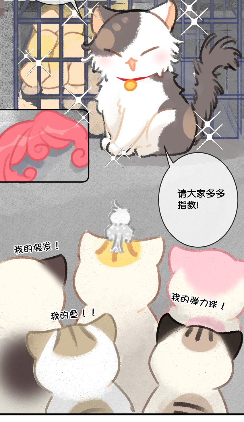 28 职场导师锅包又带出来的职场新猫！17