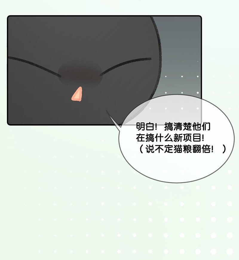 22 团建是密室逃脱和野外求生？7