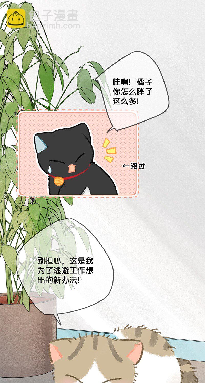 27 十万伏特喵！2