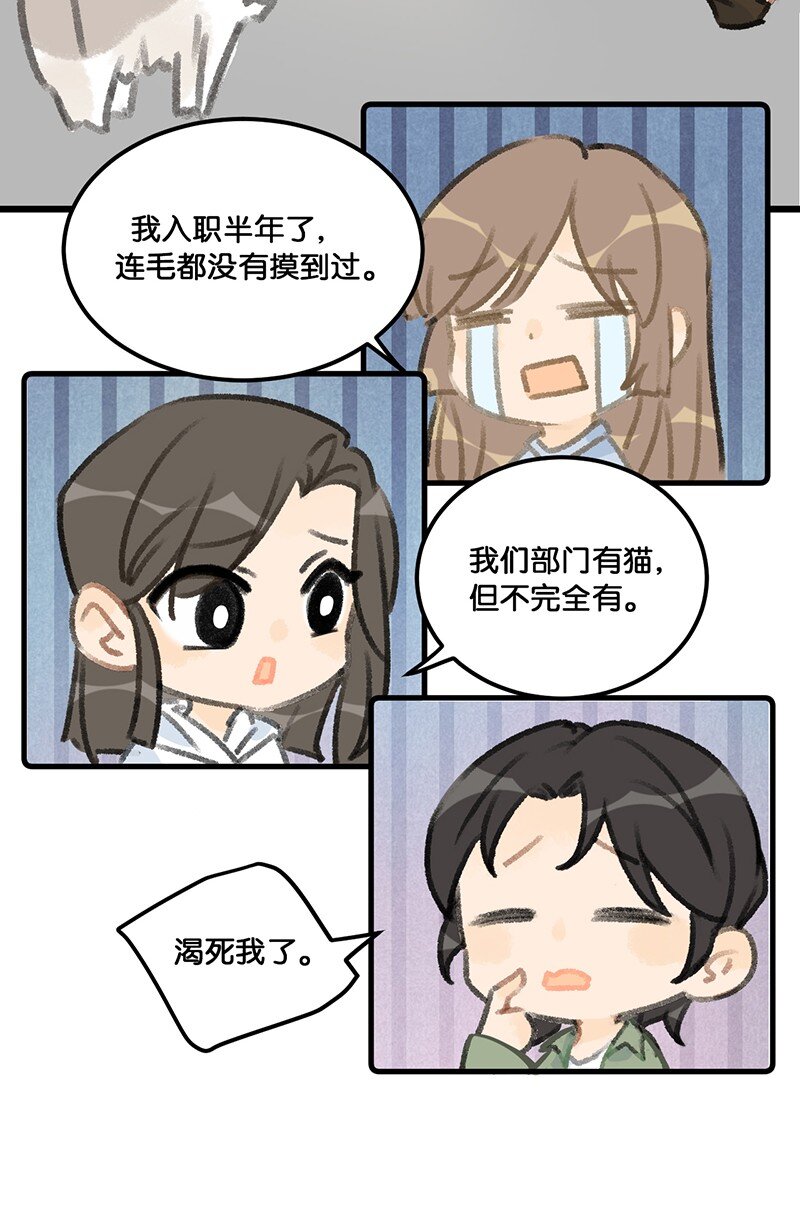 37 这个杀手——有点冷！12
