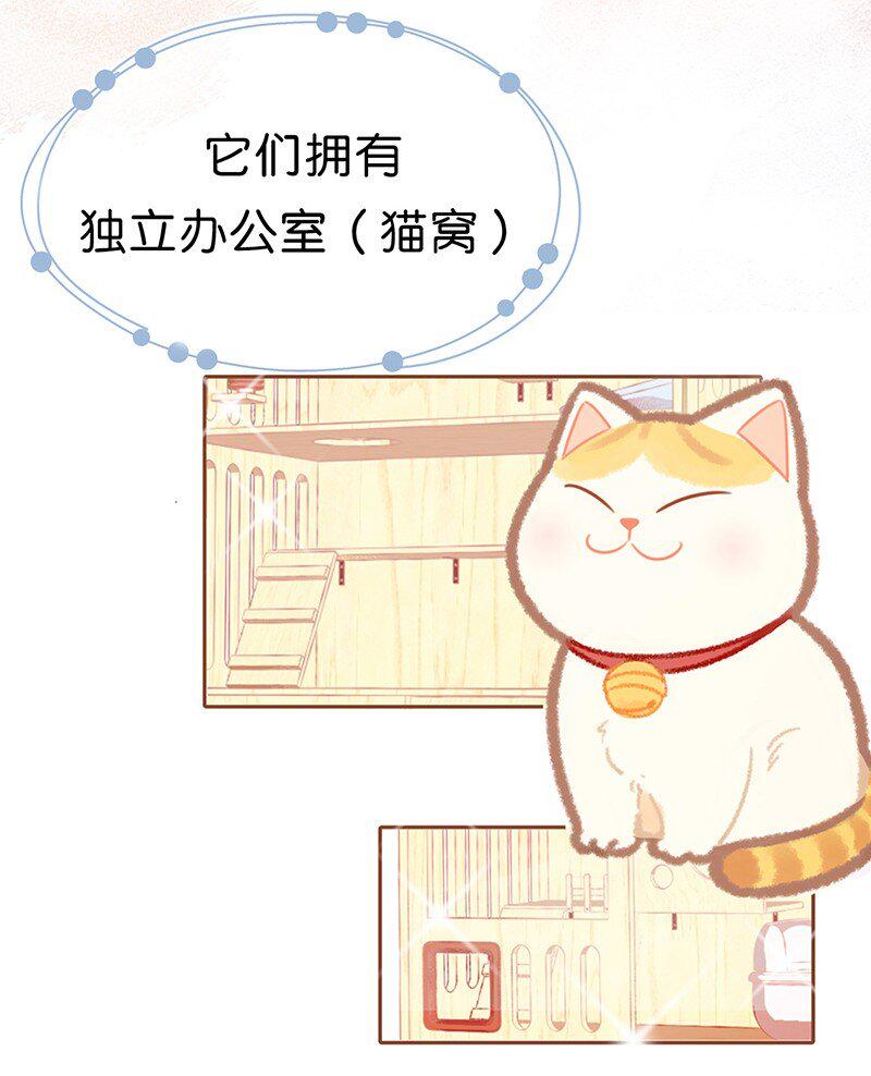楔子 喵？1