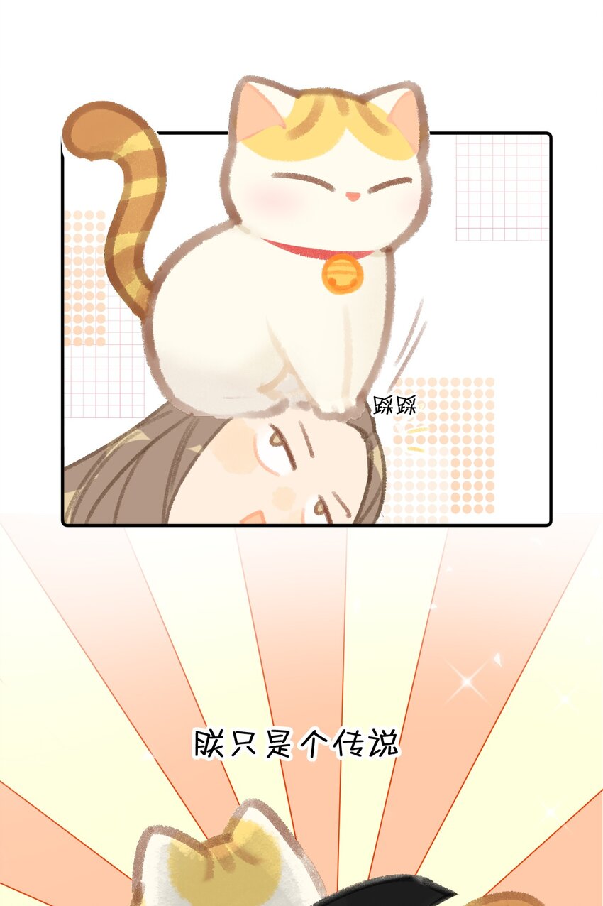 16 拯救员工的“高管”喵！11
