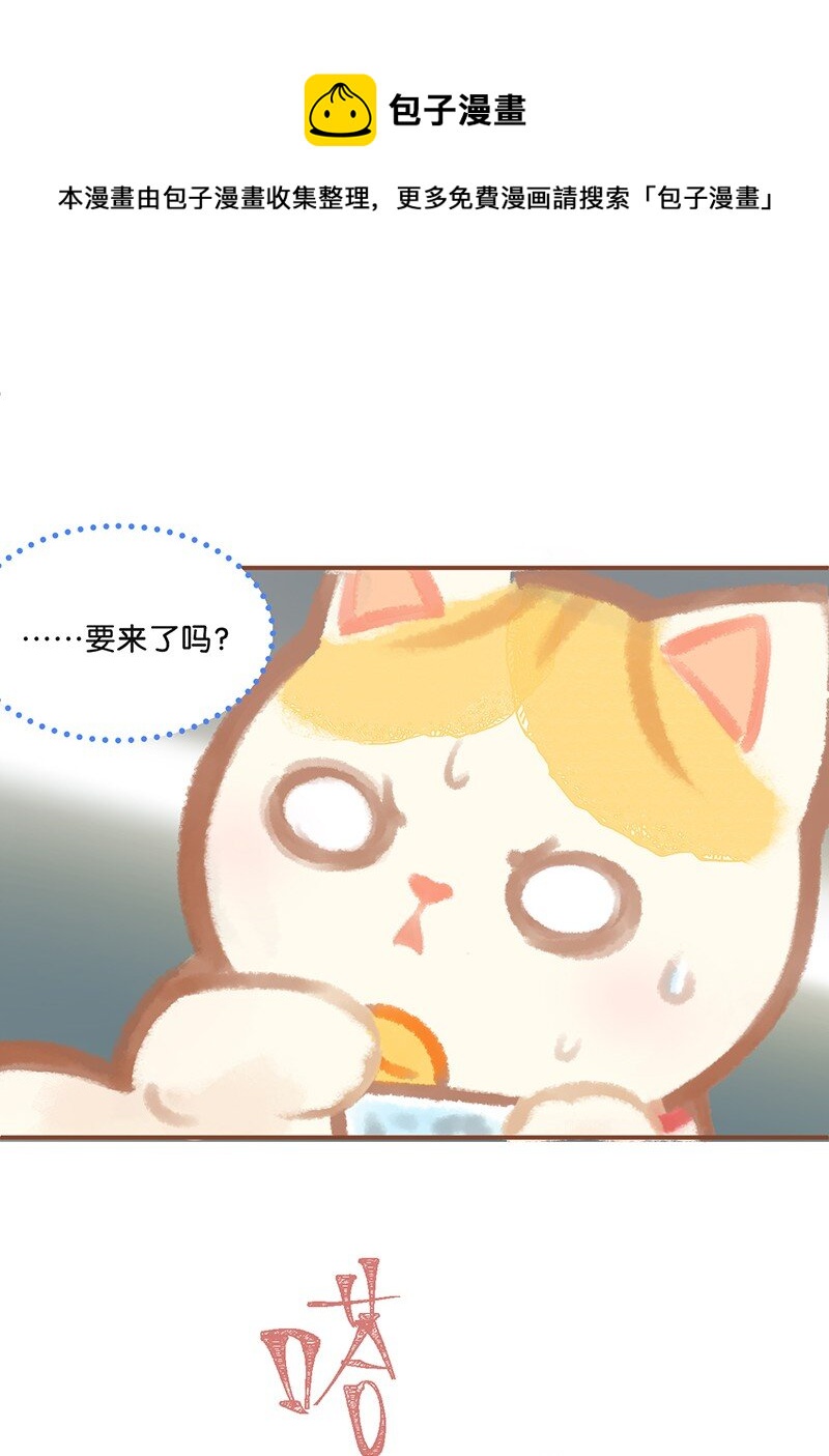 01 谁还不是个高管喵了？9
