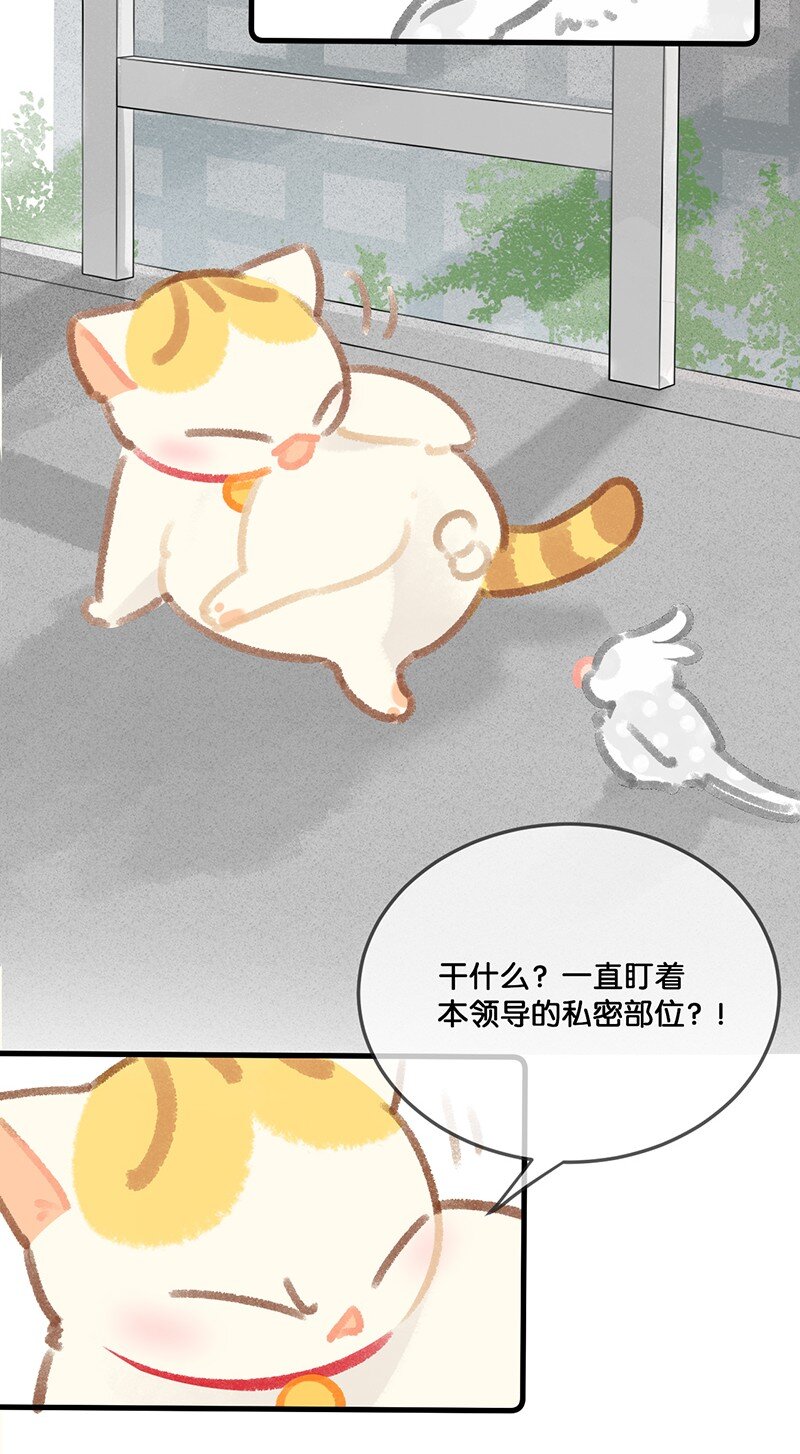 30 铃铛是高管的象征！3
