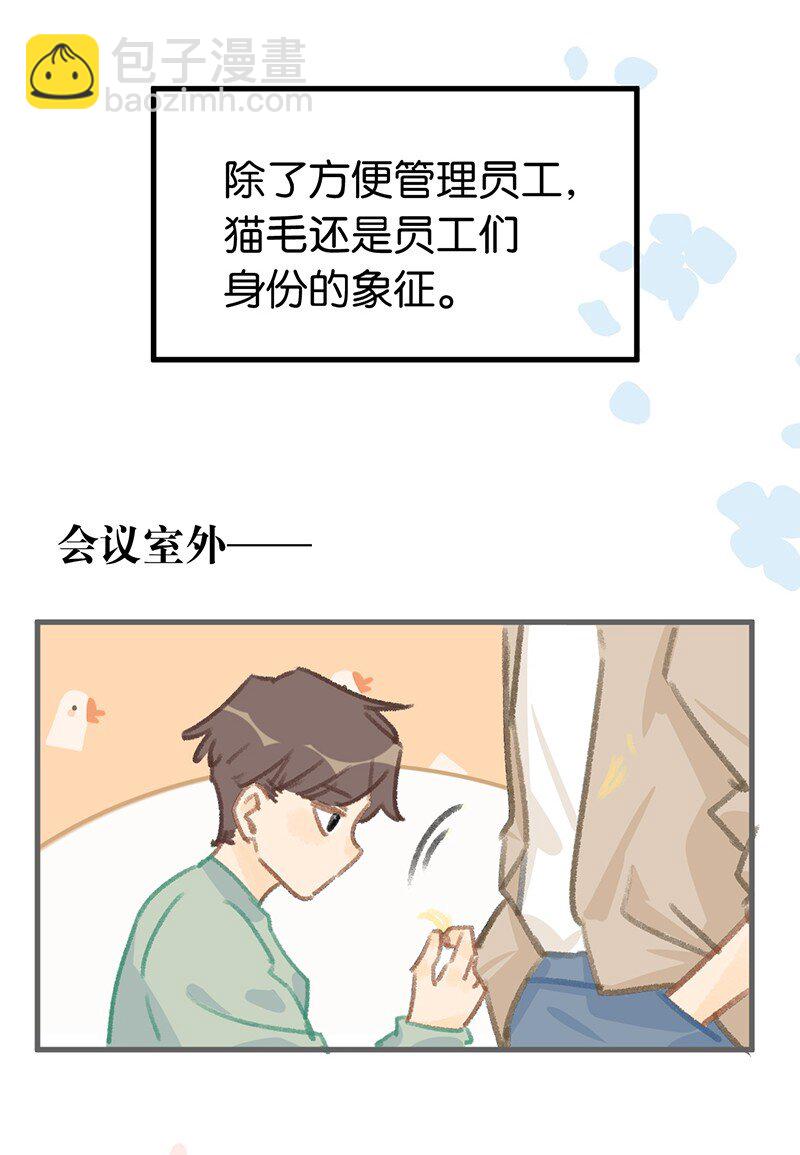 38 猫毛的多种用途？！12