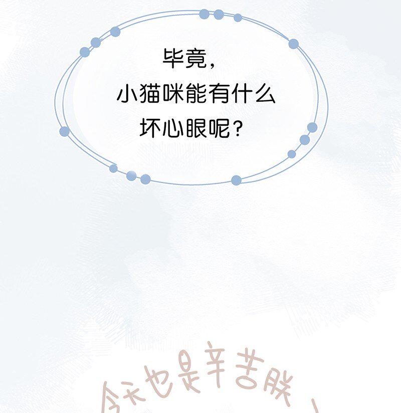 楔子 喵？6