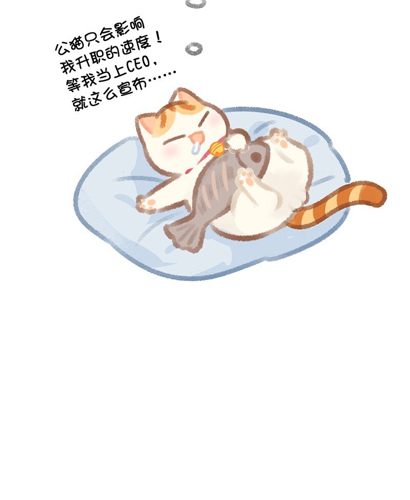 15 禁忌的办公室恋爱……19