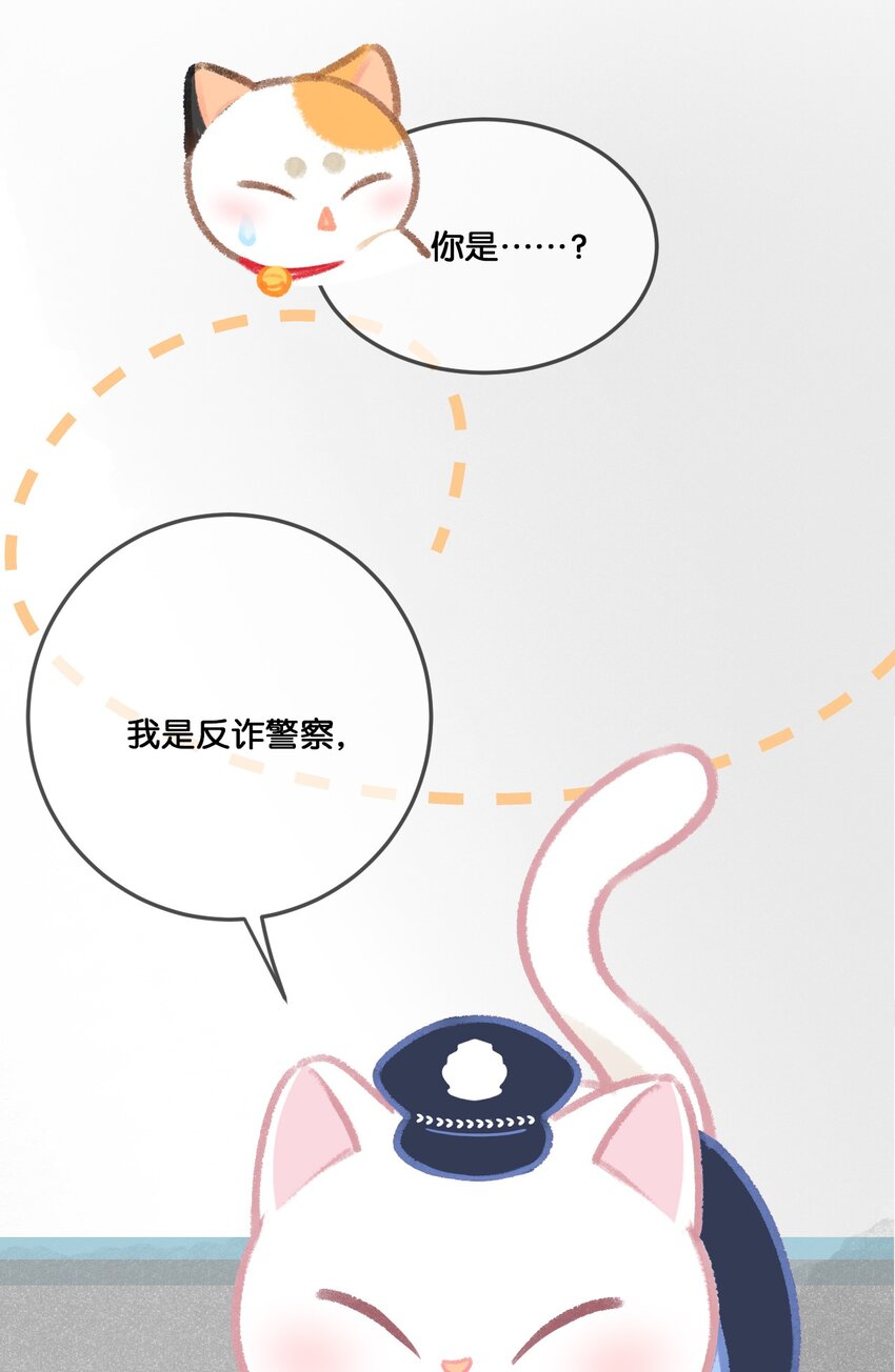 31 原价998，现在只要98？！9