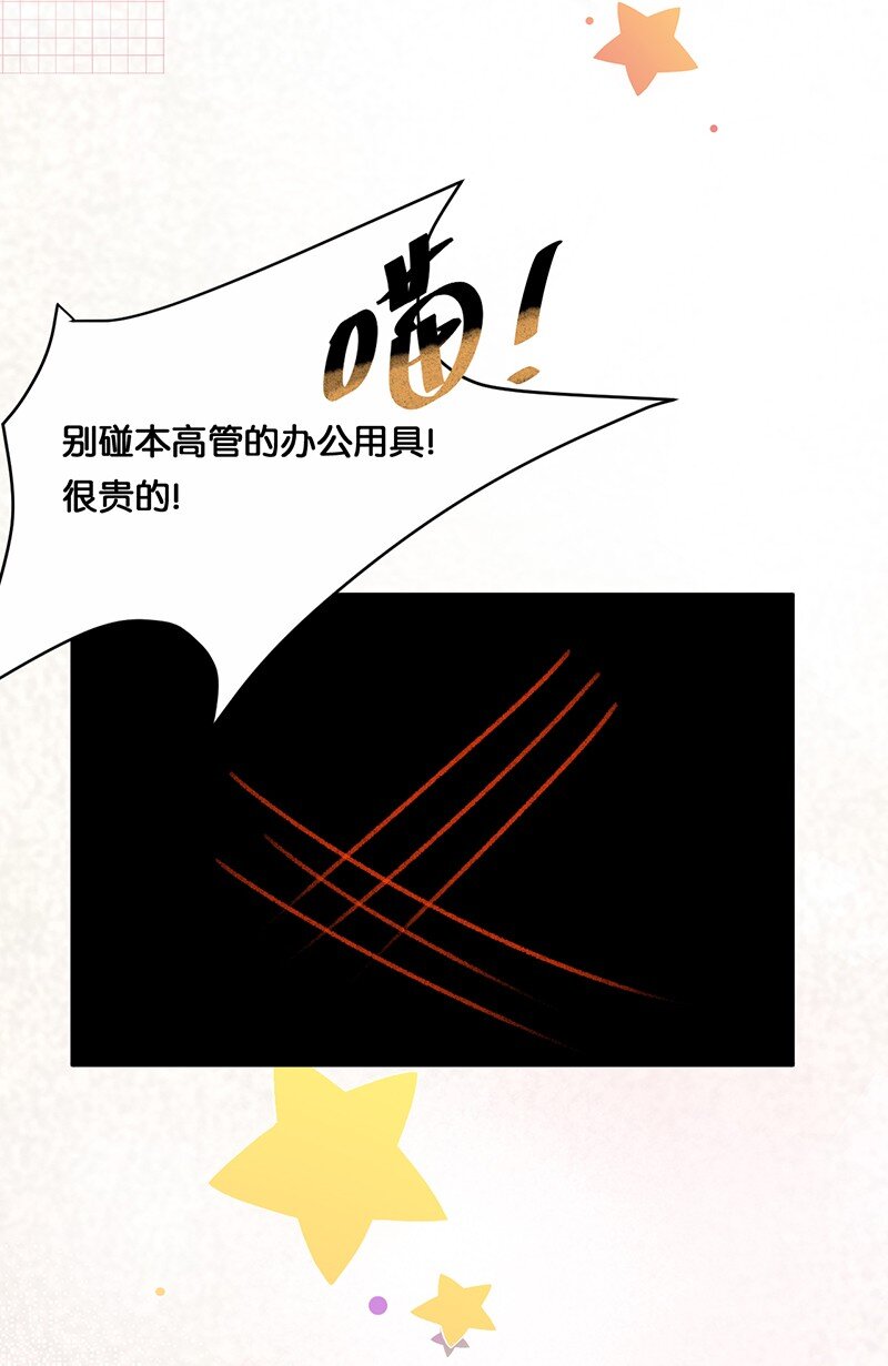39 喵爪开花的办法！7