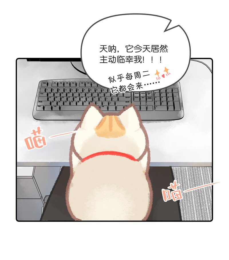 03 本喵工作的理由6