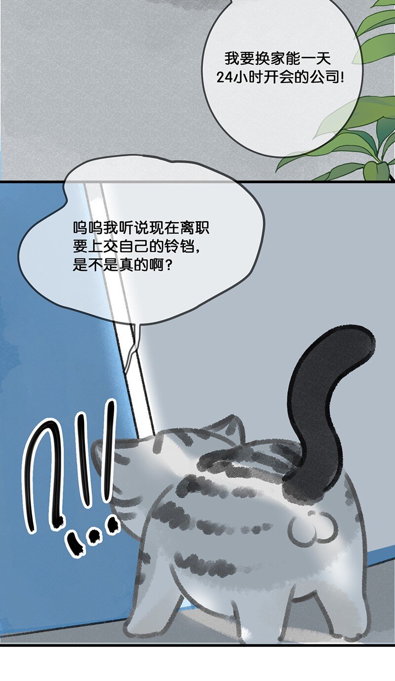 30 铃铛是高管的象征！11