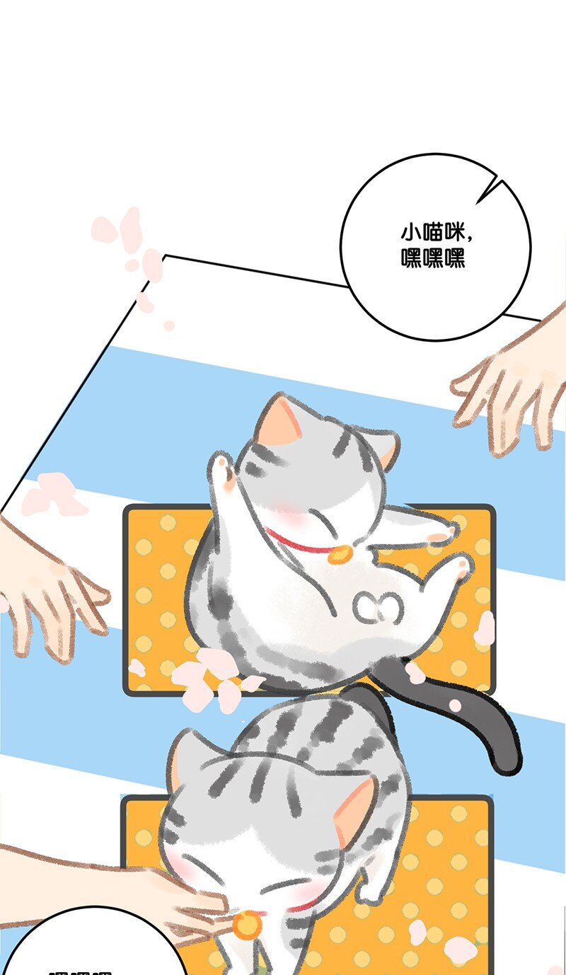 29 内卷之王王中王11