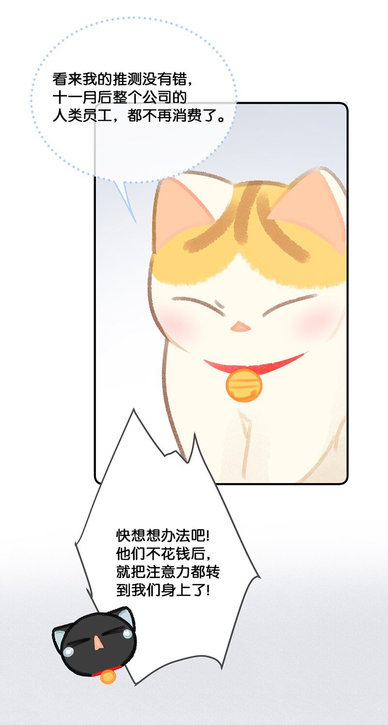 20 神秘的十一和十二月11