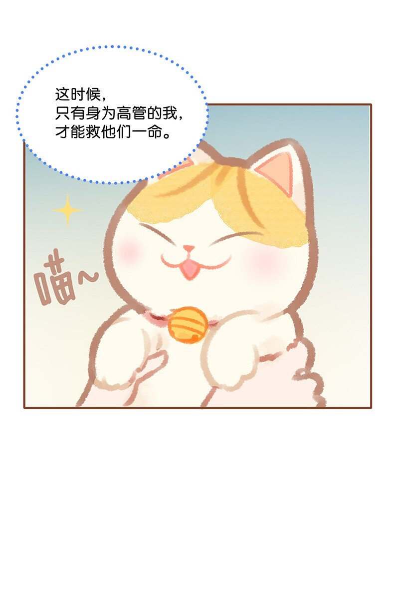 01 谁还不是个高管喵了？14