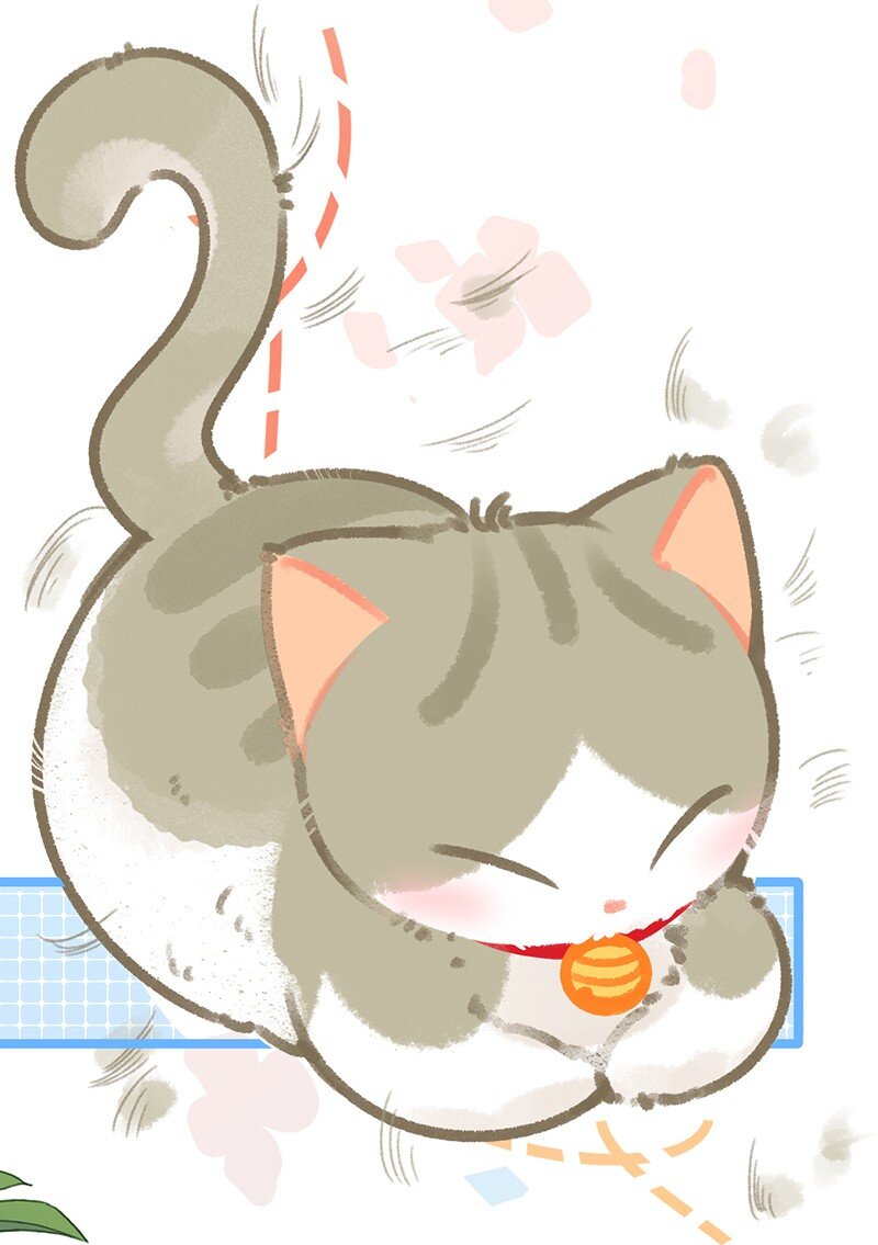 38 猫毛的多种用途？！4