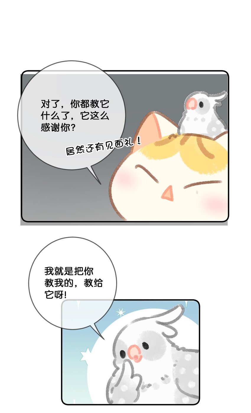 28 职场导师锅包又带出来的职场新猫！14