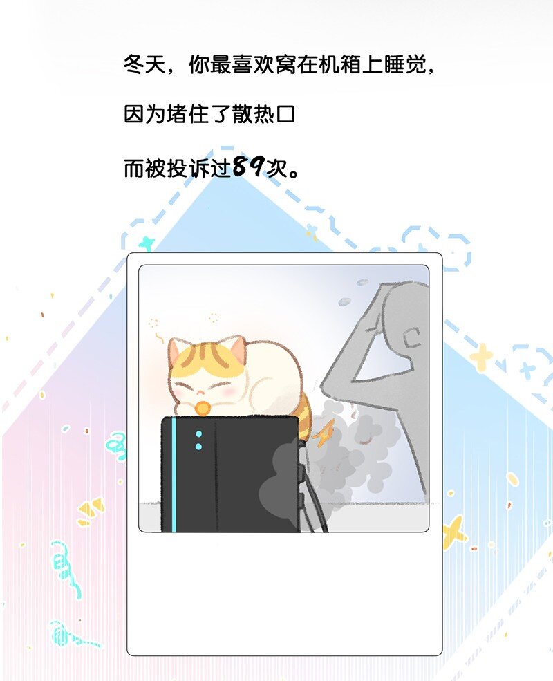 21 大橘的年终总结报告16