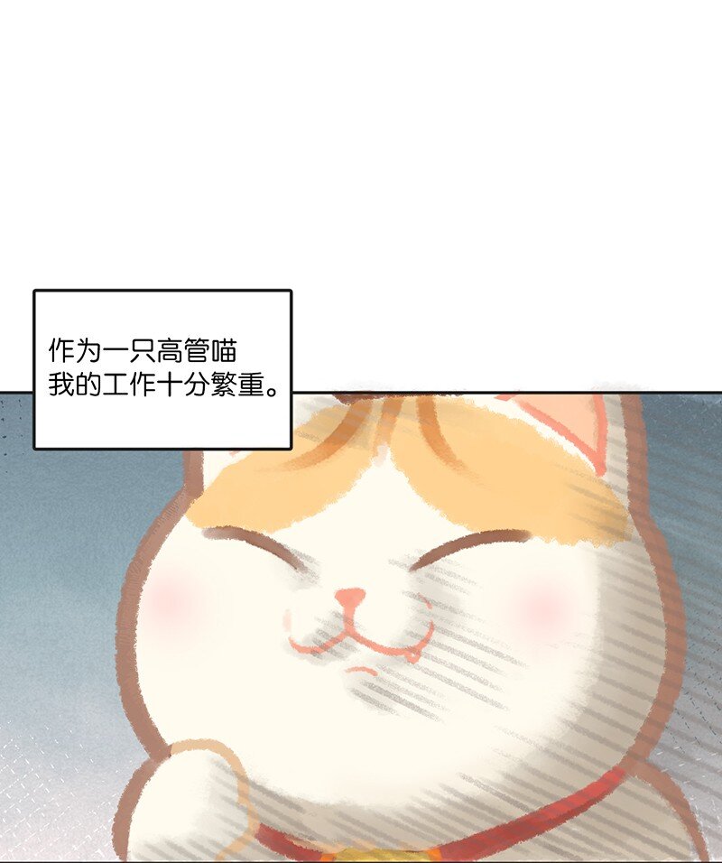 02 高管喵的日常1