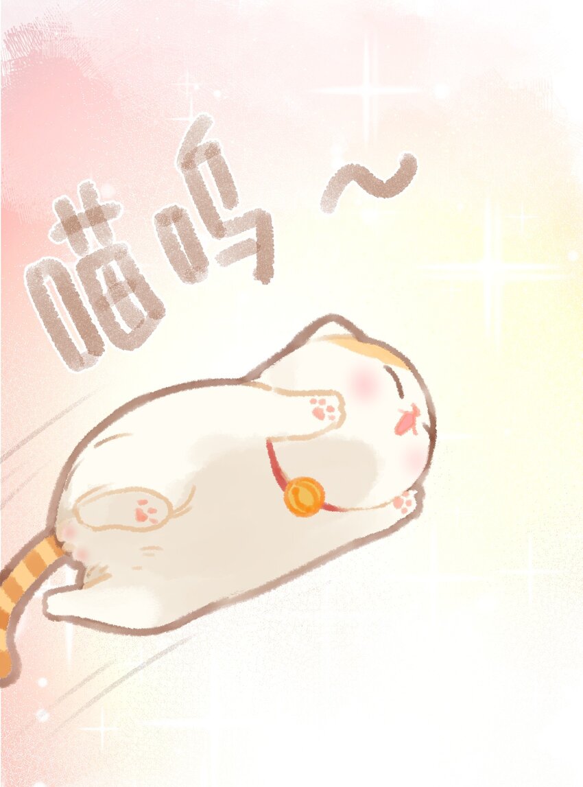 02 高管喵的日常14