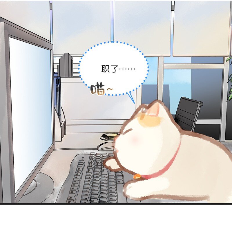 03 本喵工作的理由12