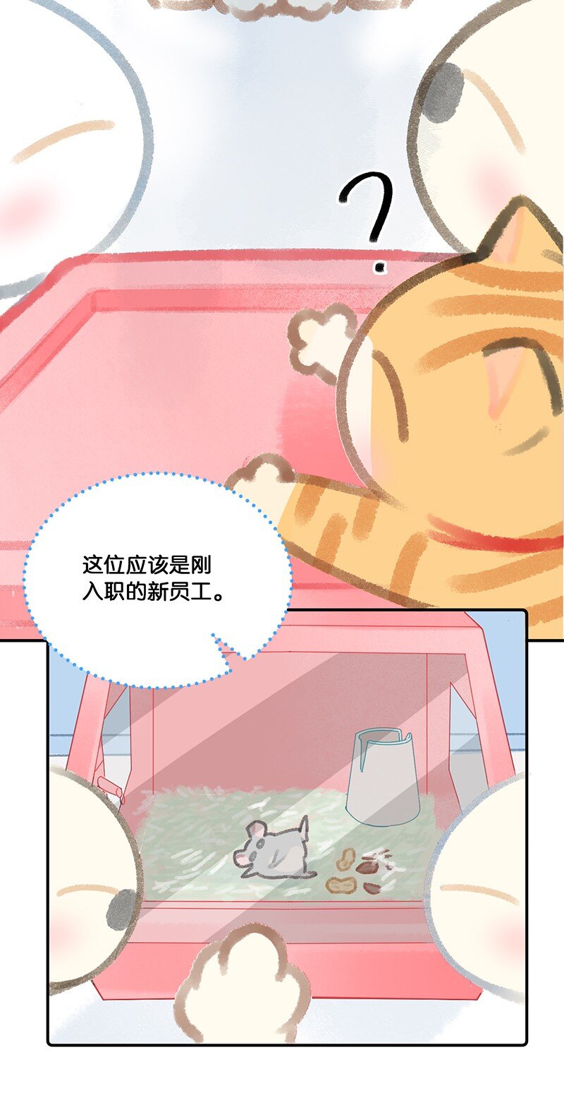 14 肖申克的救赎？14