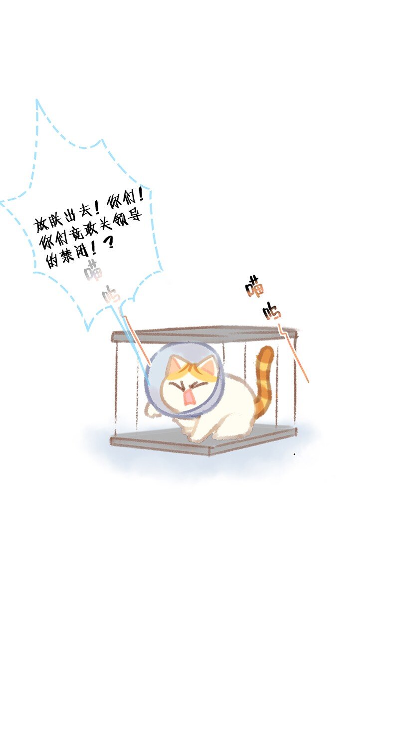 07 减肥是不可能减肥的！23