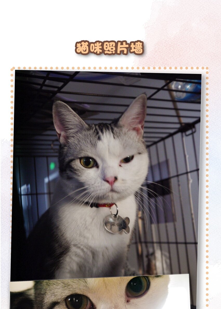 29 内卷之王王中王22