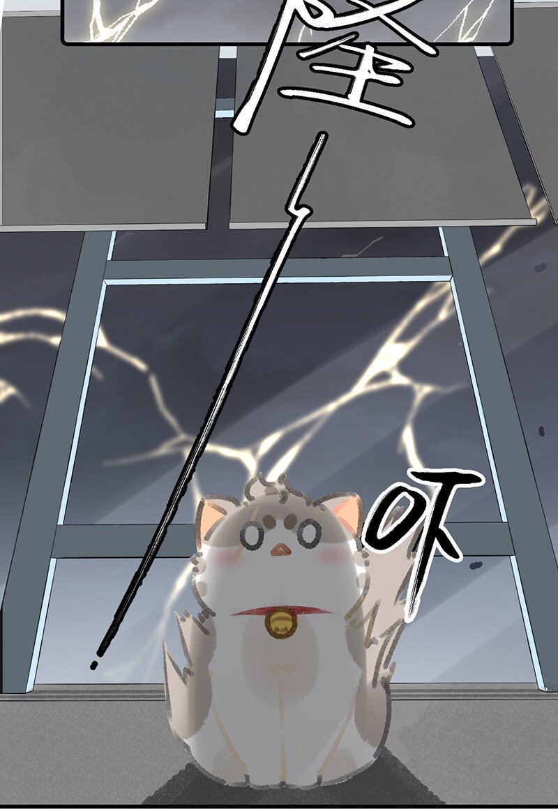 37 这个杀手——有点冷！15