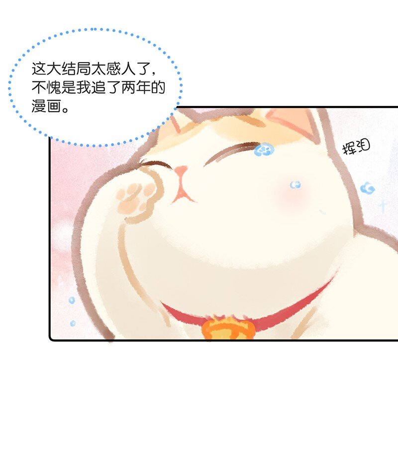 03 本喵工作的理由10