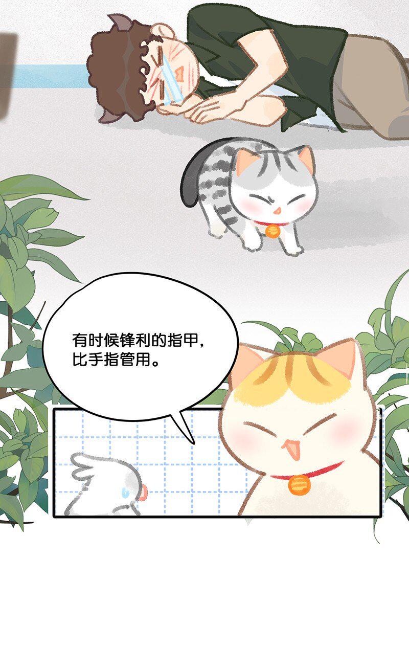 32 橘总对职场菜鸟的暖心鼓励16