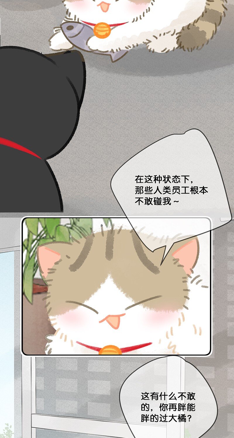 27 十万伏特喵！3