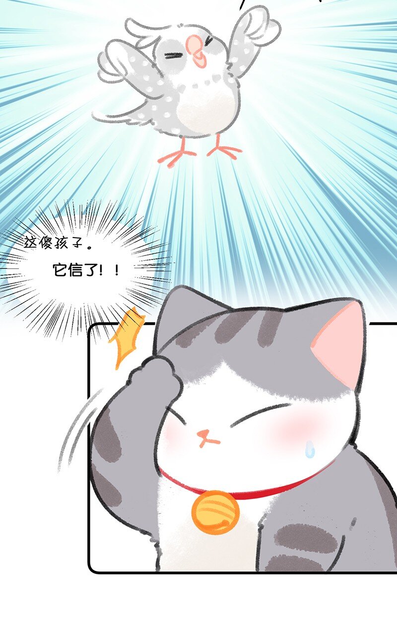 26 喵高管们的新年愿望？24