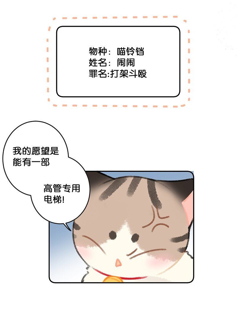 26 喵高管们的新年愿望？9