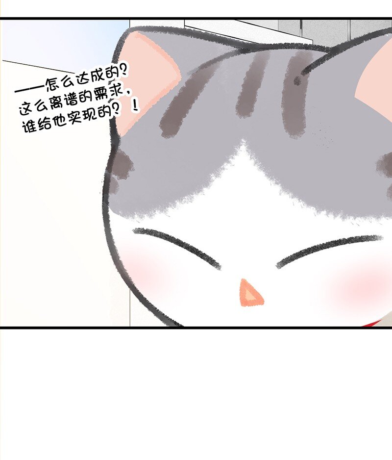 26 喵高管们的新年愿望？18