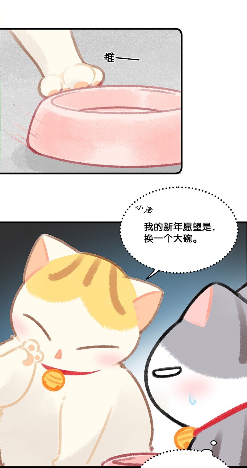 26 喵高管们的新年愿望？25