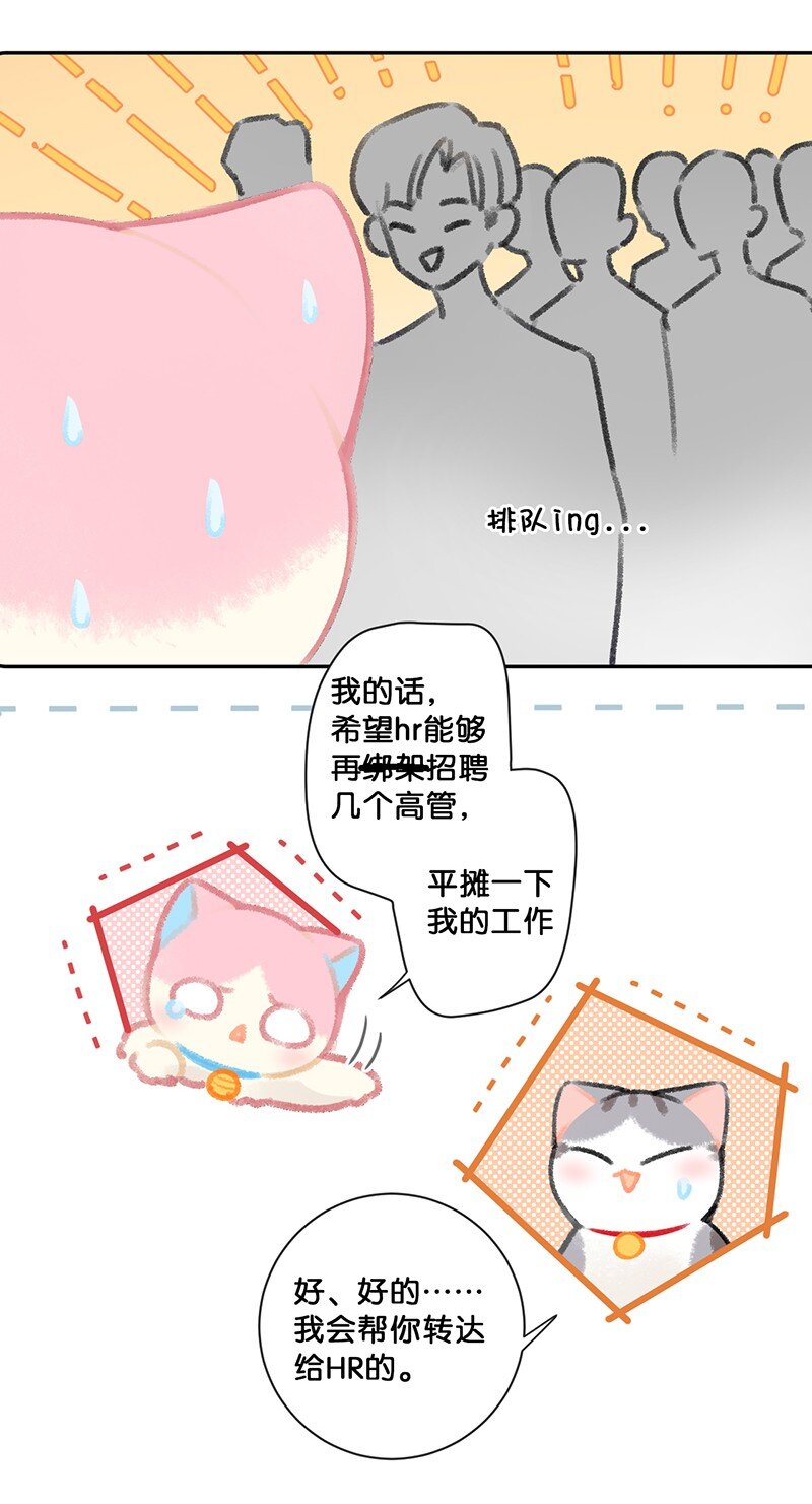 26 喵高管们的新年愿望？7