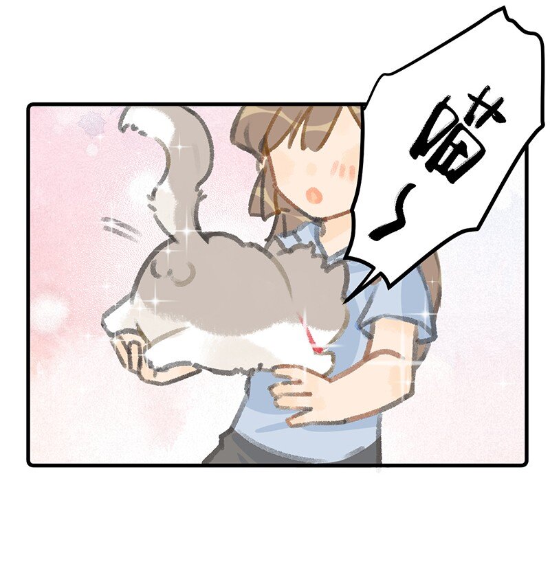 37 这个杀手——有点冷！16