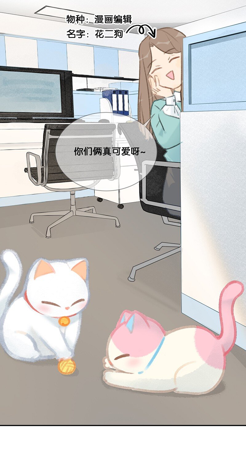 15 禁忌的办公室恋爱……3