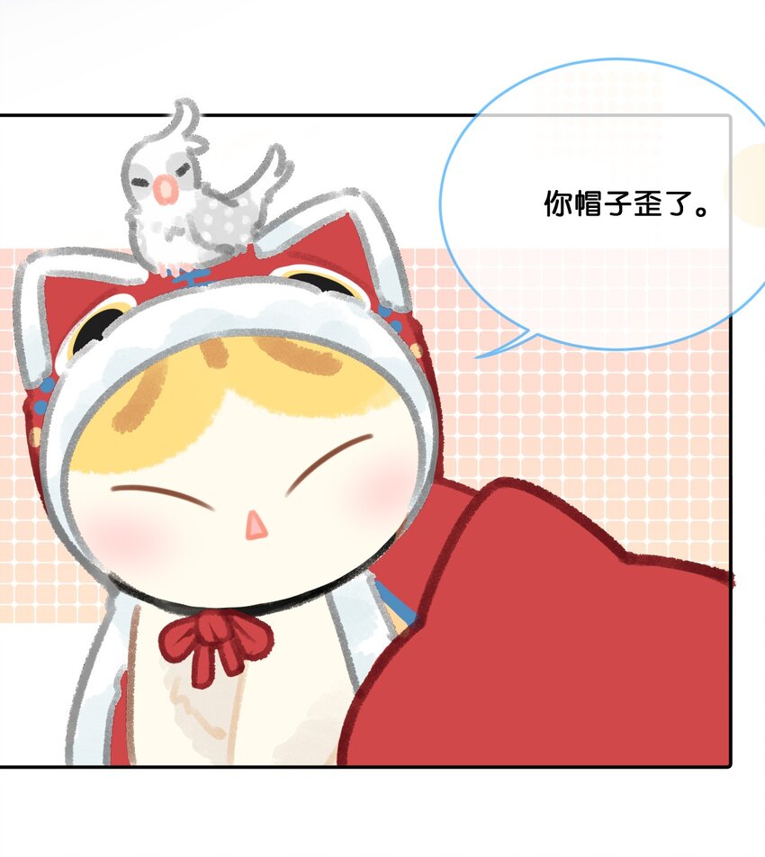 25 脱贫脱单不脱发！7