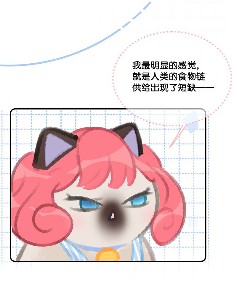 20 神秘的十一和十二月3