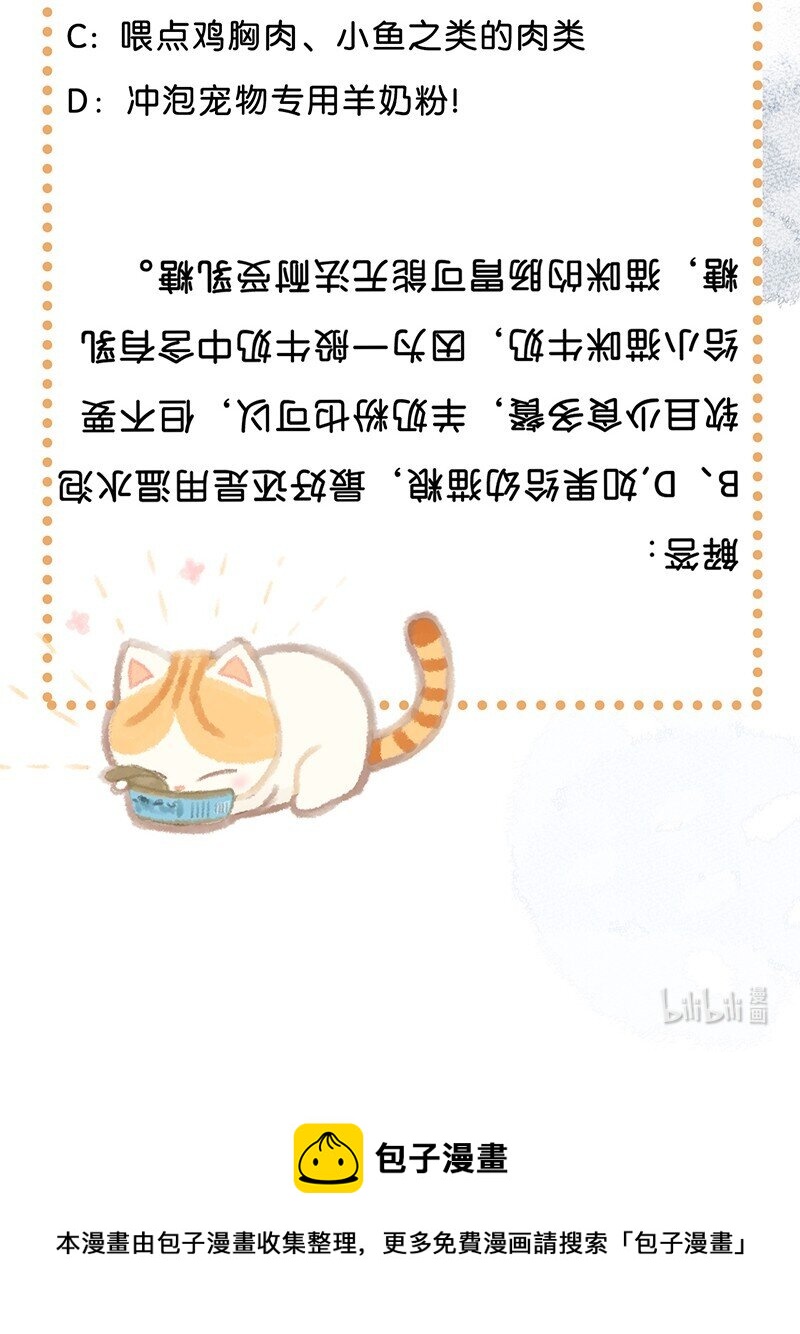 03 本喵工作的理由18