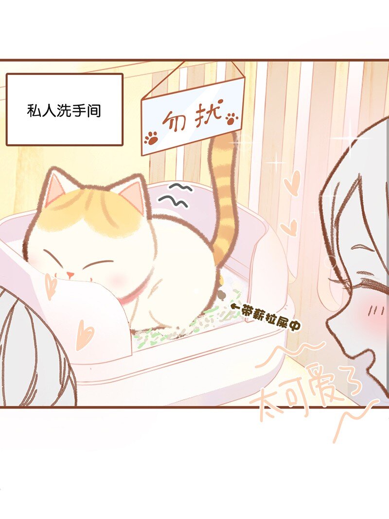 01 谁还不是个高管喵了？4