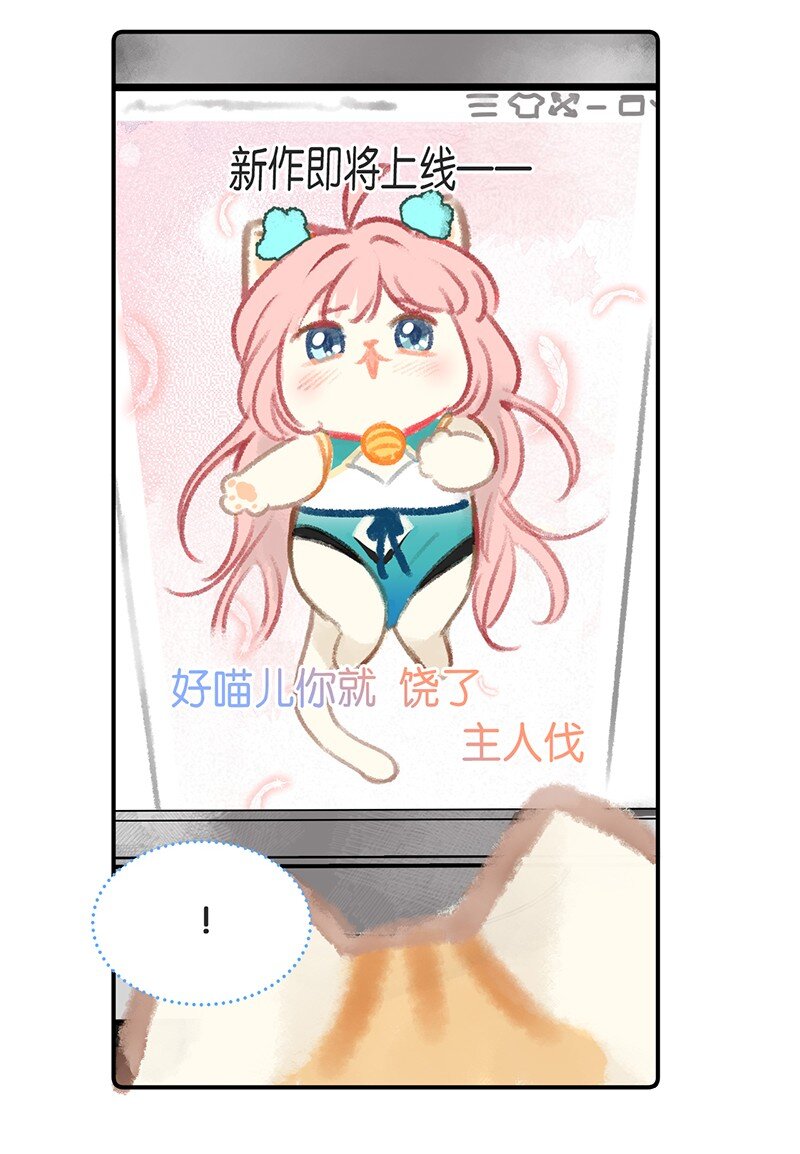 03 本喵工作的理由13