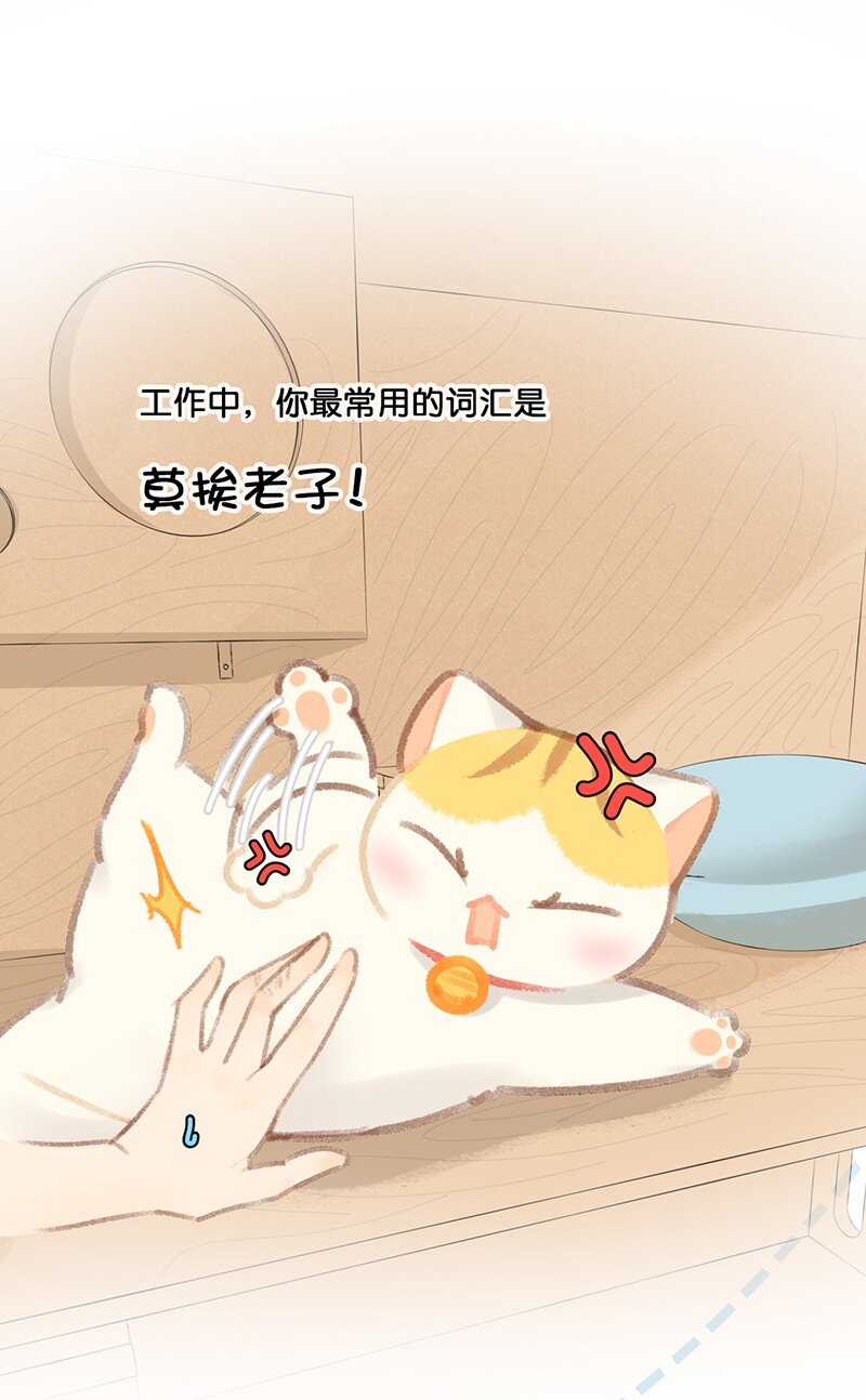 21 大橘的年终总结报告9
