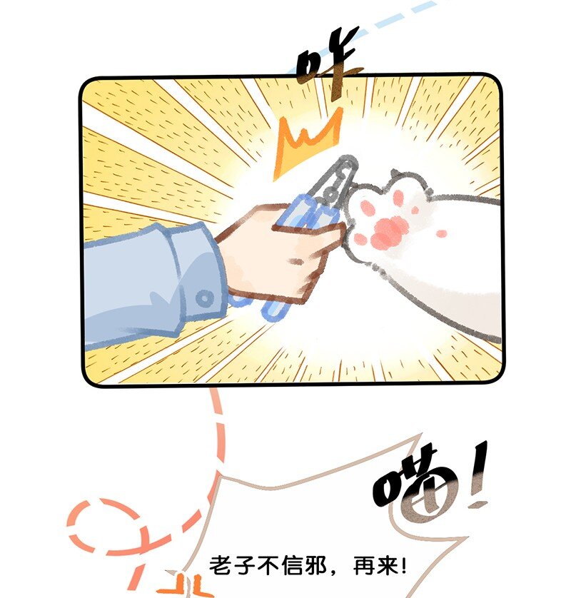 39 喵爪开花的办法！19