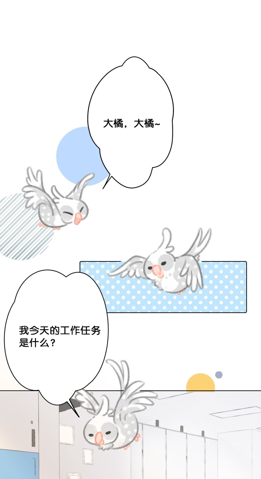 24 新员工在橘总头上拉屎？！2