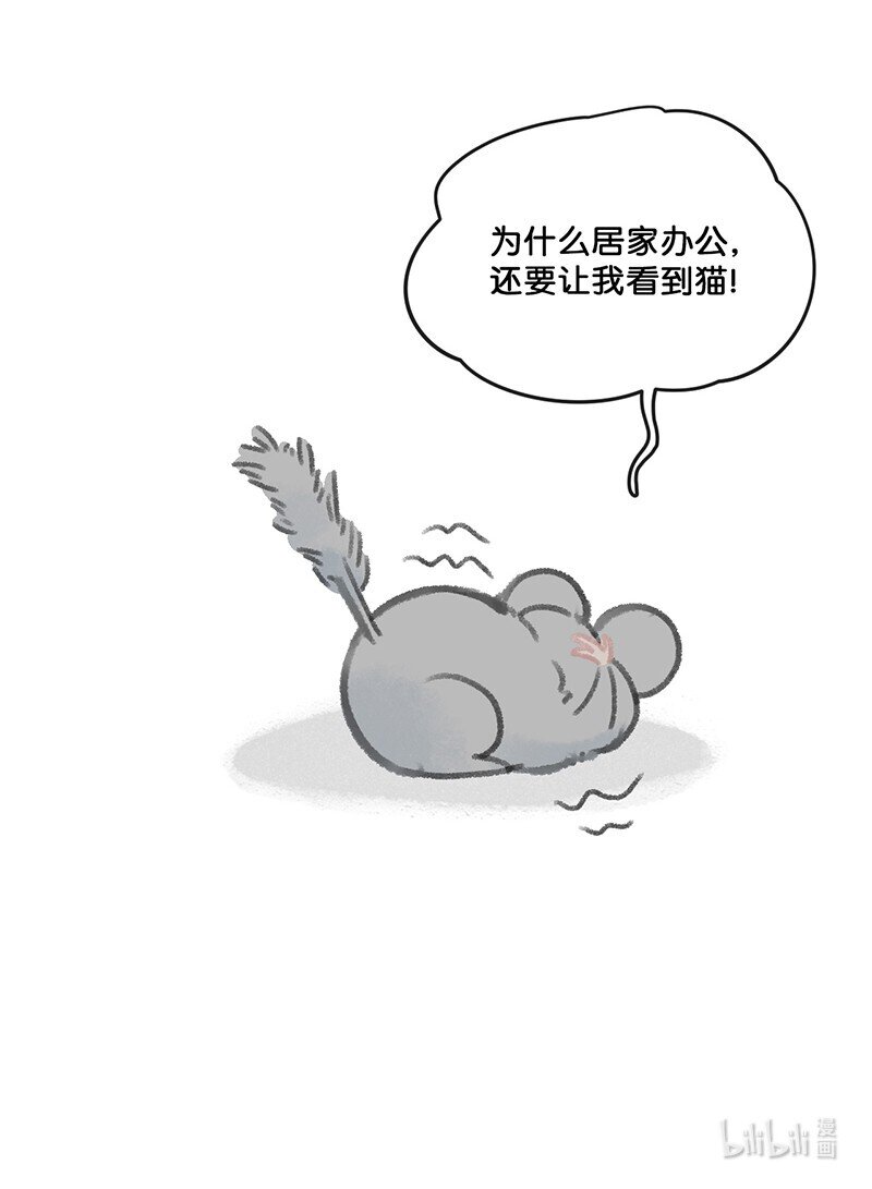 34居家办公开会真难18