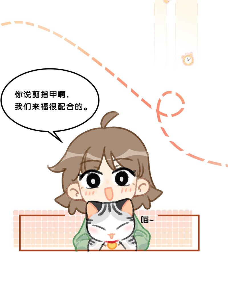 39 喵爪开花的办法！10